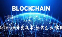 深入解析Tokenim开发成本：