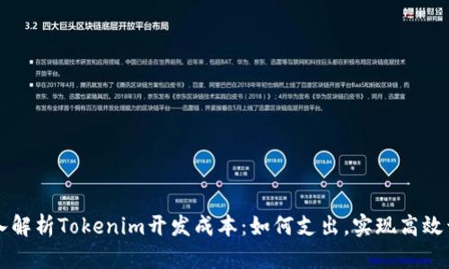 深入解析Tokenim开发成本：如何支出，实现高效开发