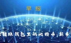 如何轻松转账钱包里的比