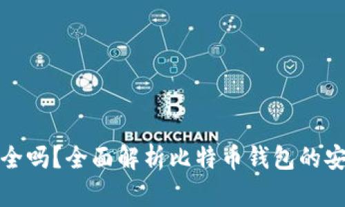 好比特币钱包安全吗？全面解析比特币钱包的安全性和使用技巧