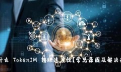 为什么 TokenIM 转账速度慢