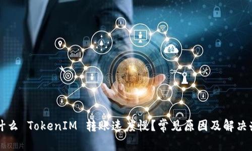 为什么 TokenIM 转账速度慢？常见原因及解决办法