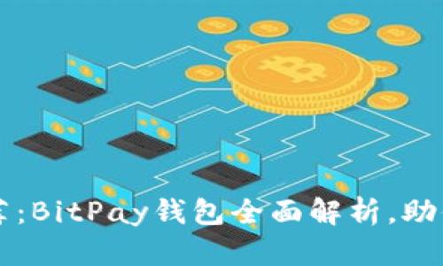 比特币钱包选择推荐：BitPay钱包全面解析，助你轻松管理数字资产