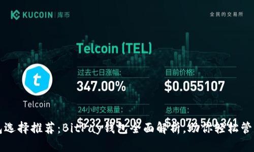 比特币钱包选择推荐：BitPay钱包全面解析，助你轻松管理数字资产