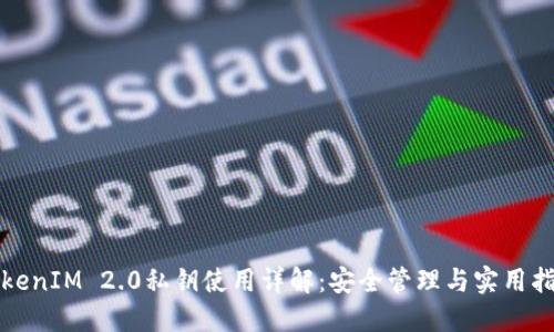 TokenIM 2.0私钥使用详解：安全管理与实用指南