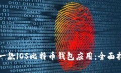 如何快速开发一款iOS比特