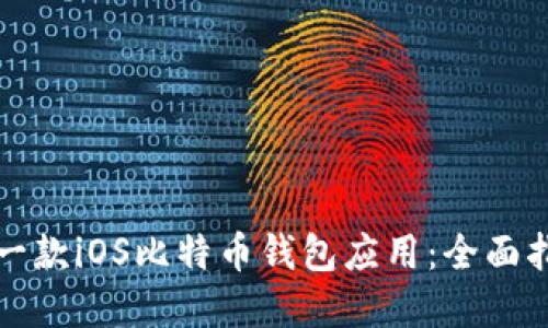 如何快速开发一款iOS比特币钱包应用：全面指南与最佳实践