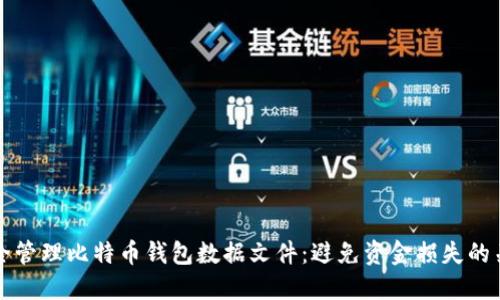 如何安全管理比特币钱包数据文件：避免资金损失的关键指南