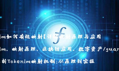 Tokenim如何有效映射？详解映射原理与应用

Tokenim, 映射原理, 区块链应用, 数字资产/guanjianci

深度解析Tokenim映射机制：从原理到实操