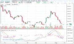   解决Tokenim钱包广播超时