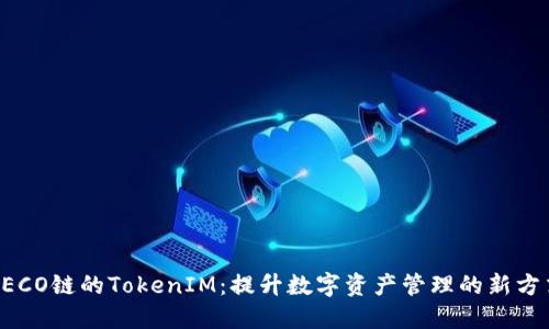 HECO链的TokenIM：提升数字资产管理的新方式