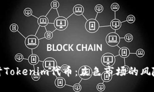 深入探讨Tokenim代币：灰色市场的风险与机遇