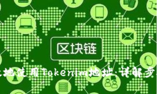 如何安全有效地使用Tokenim地址：详解步骤和注意事项
