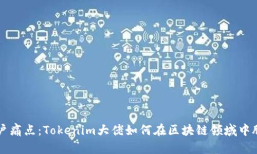 解决用户痛点：Tokenim大佬如何在区块链领域中脱颖而出