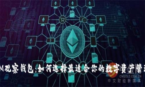 探秘IM观察钱包：如何选择最适合你的数字资产管理工具