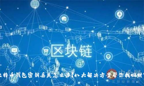 比特币钱包密钥丢失怎么办？八大解决方案帮你找回财富