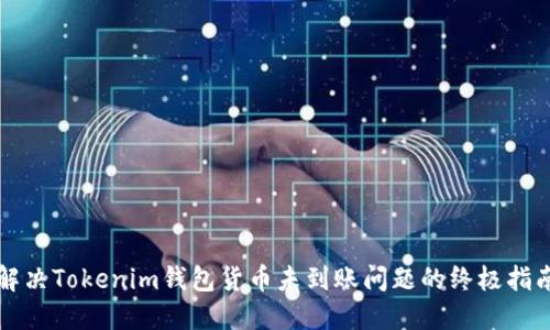 解决Tokenim钱包货币未到账问题的终极指南