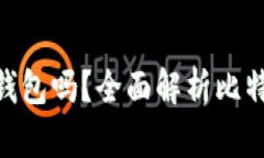 : 比特币可以不存钱包吗？