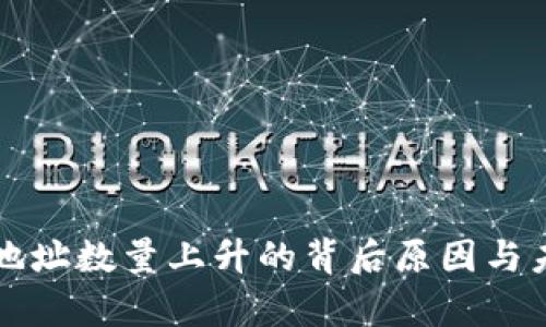 比特币钱包地址数量上升的背后原因与未来趋势分析