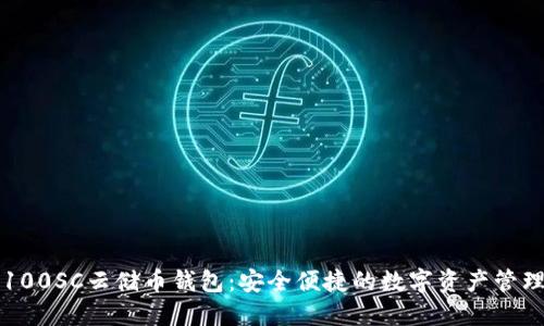区块链100SC云储币钱包：安全便捷的数字资产管理新选择