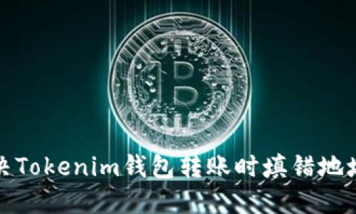 如何解决Tokenim钱包转账时填错地址的问题