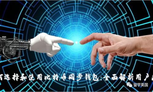如何选择和使用比特币同步钱包：全面解析用户痛点