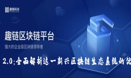 Tokenim 2.0：全面解析这一新兴区块链生态系统的优势与挑战
