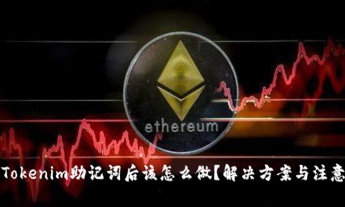 丢失Tokenim助记词后该怎么做？解决方案与注意事项