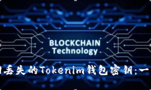如何找回丢失的Tokenim钱包密钥：一步步指南