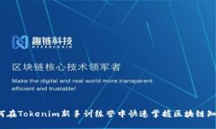 如何在Tokenim新手训练营中
