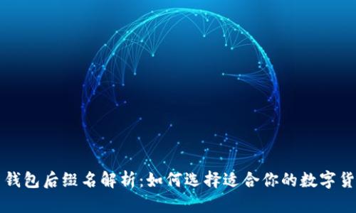 比特币钱包后缀名解析：如何选择适合你的数字货币钱包