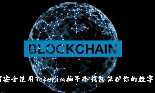 如何安全使用Tokenim柚子冷钱包保护你的数字资产