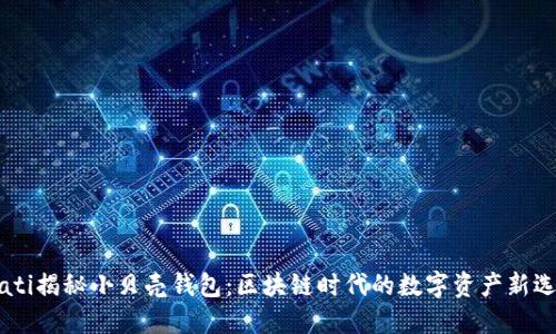 biati揭秘小贝壳钱包：区块链时代的数字资产新选择