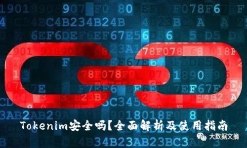 Tokenim安全吗？全面解析及使用指南