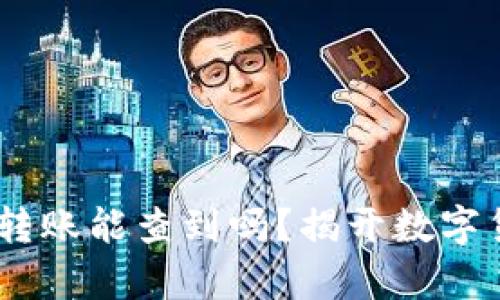 USDT钱包之间转账能查到吗？揭开数字货币隐私的真相