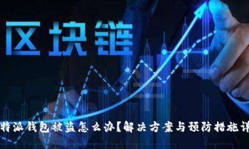 比特派钱包被盗怎么办？解决方案与预防措施详解