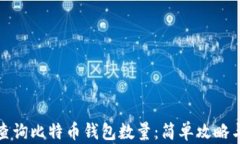 如何轻松查询比特币钱包