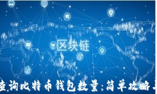 
如何轻松查询比特币钱包数量：简单攻略与实用技巧