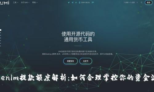 Tokenim提款额度解析：如何合理掌控你的资金流动