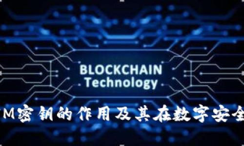 了解TokenIM密钥的作用及其在数字安全中的重要性