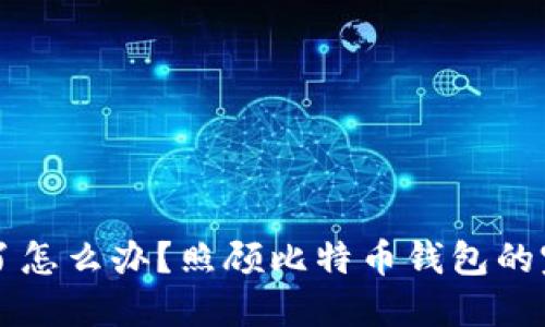 电脑坏了怎么办？照顾比特币钱包的完整指南