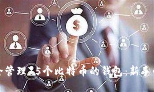 如何安全管理75个比特币的钱包：新手必看指南
