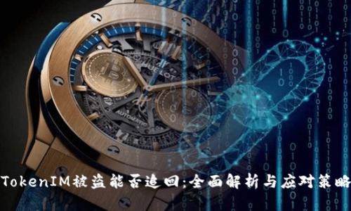 TokenIM被盗能否追回：全面解析与应对策略