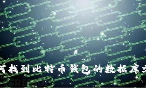 如何找到比特币钱包的数据库文件