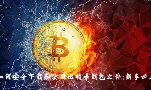 如何安全下载和使用比特币钱包文件：新手必看
