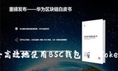 如何安全高效地使用BSC钱