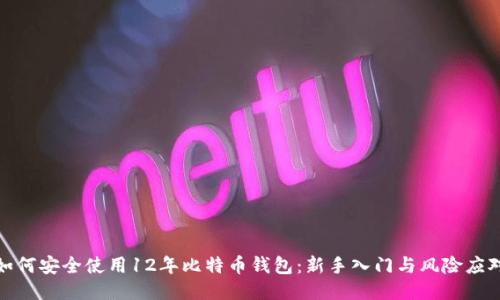 如何安全使用12年比特币钱包：新手入门与风险应对