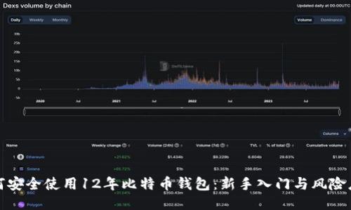 如何安全使用12年比特币钱包：新手入门与风险应对