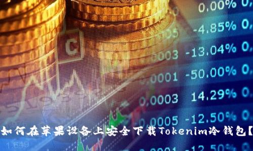 如何在苹果设备上安全下载Tokenim冷钱包？