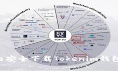 如何在国内安全下载Toke